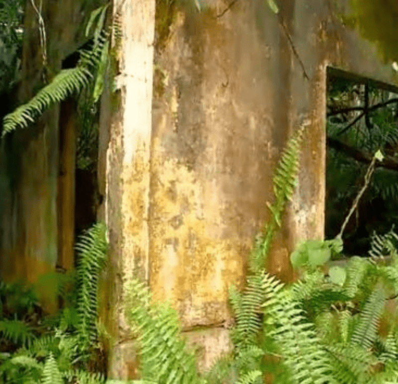 Airão Velho, no Amazonas / cidade fantasma Brasil (Foto: Reprodução Rede Amazônica AM)