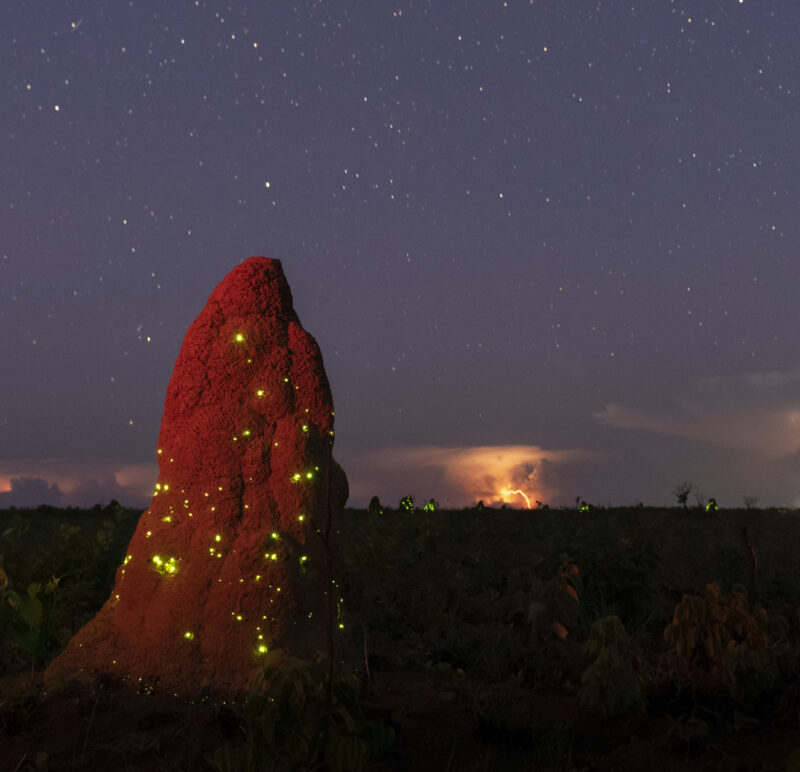 Mineiros (GO): descubra o berço das águas e aventuras únicas no coração do Cerrado