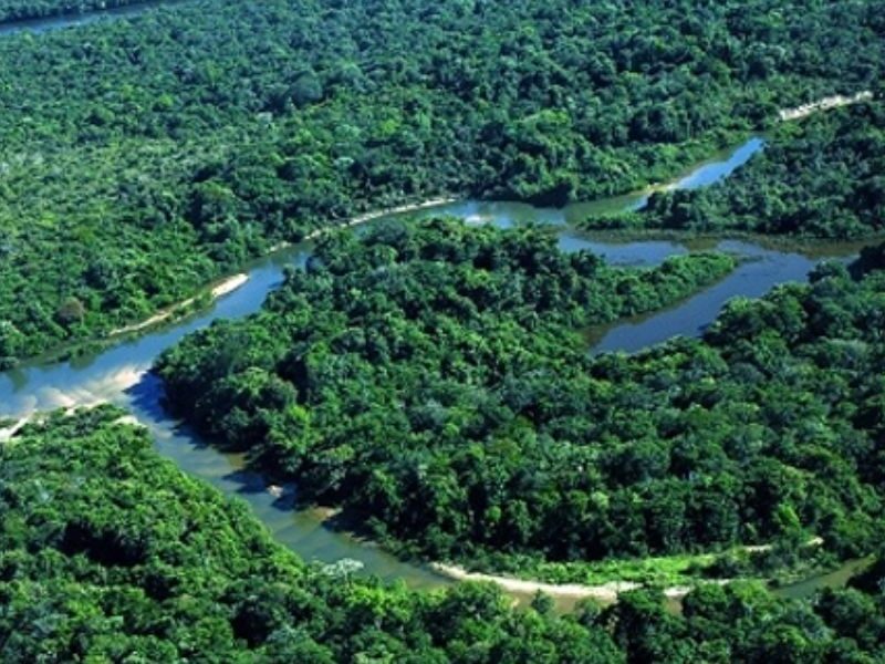 Ilha do Bananal, no Tocantins/Mato Grosso (Foto: Blog Desviantes / Reprodução)
