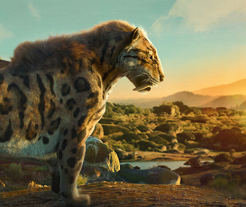 Documentário sobre a natureza "A Vida no Nosso Planeta" (Foto: Netflix/Divulgação)