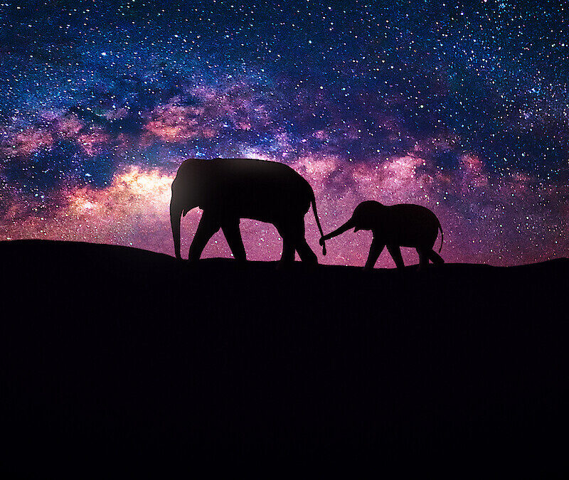 Banner de "Enigmas do Universo" (Foto: Netflix/Divulgação)