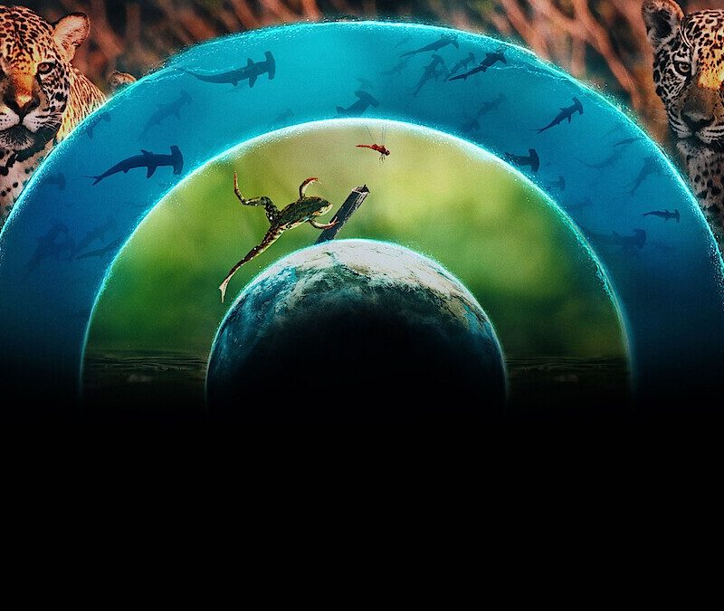 Documentário "Planeta Vivo" (Foto: Netflix/Divulgação)