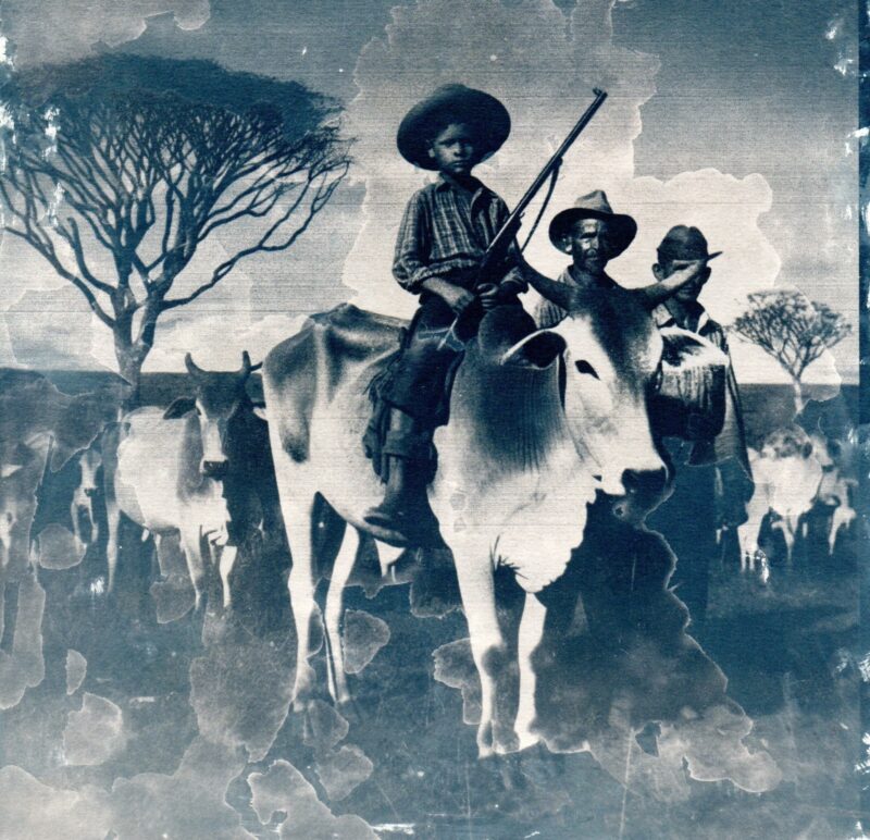 Obra de Rafael de Almeida (Foto: Divulgação)