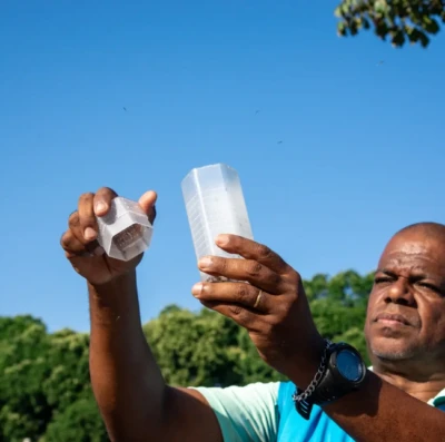 combate à dengue wolbito do brasil