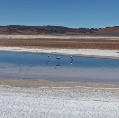 Deserto do Atacama surpreende visitantes (Foto divulgação)