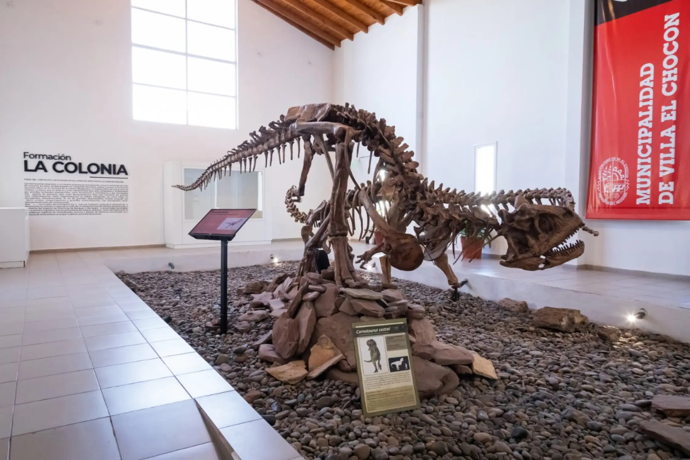 Neuquén conheça a terra dos dinossauros na Patagônia Argentina