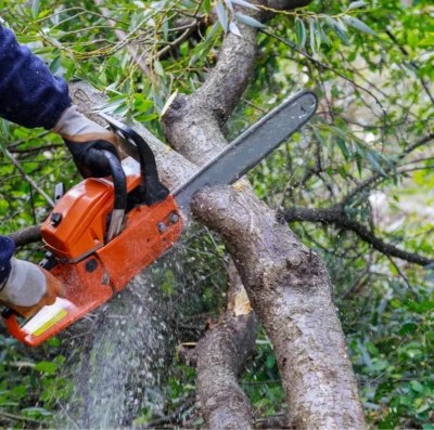 Nova lei para licenciamento ambiental preocupa órgãos e parlamentares do Brasil (Foto Canva)
