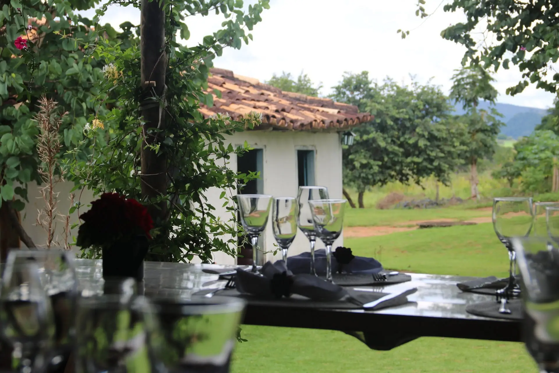 Fazenda Pireneus Vinhos e Vinhedos, em Cocalzinho de Goiás