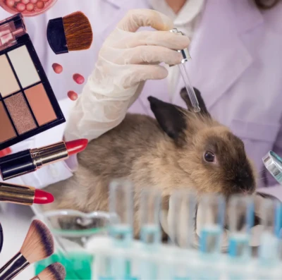 Lei proíbe uso de animais em testes cosméticos (Foto divulgação)