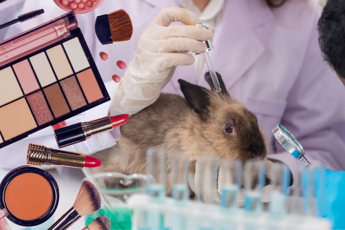Lei proíbe uso de animais em testes cosméticos (Foto divulgação)