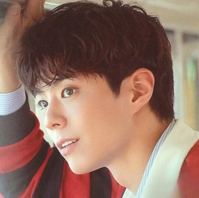 park bo gum no brasil be with you fan meeting