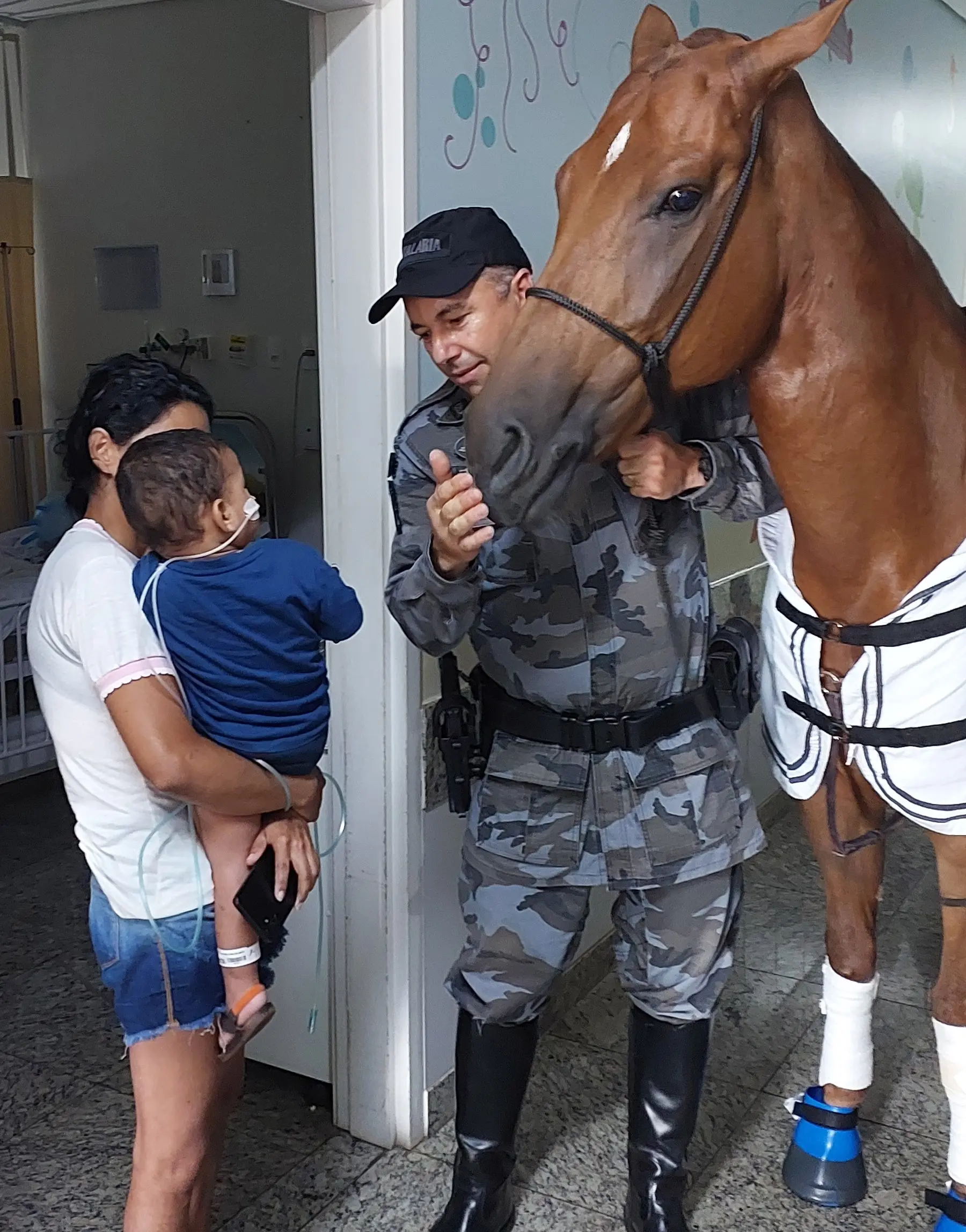 Cavalos da PM durante equoterapia, no HMAP, em Aparecida de Goiânia