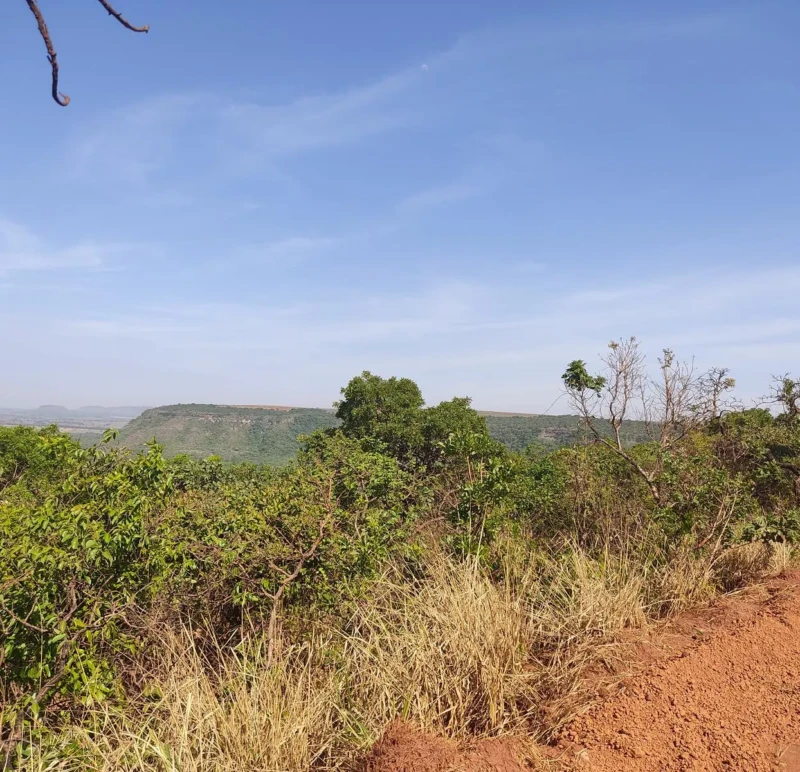 Mirantes em Quirinópolis