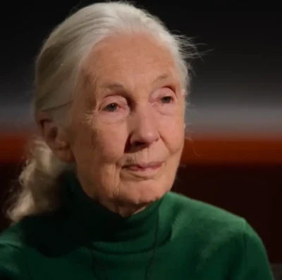 1º episódio de 'Famosas Última Palavras' apresenta Jane Goodall (Foto: Netflix)