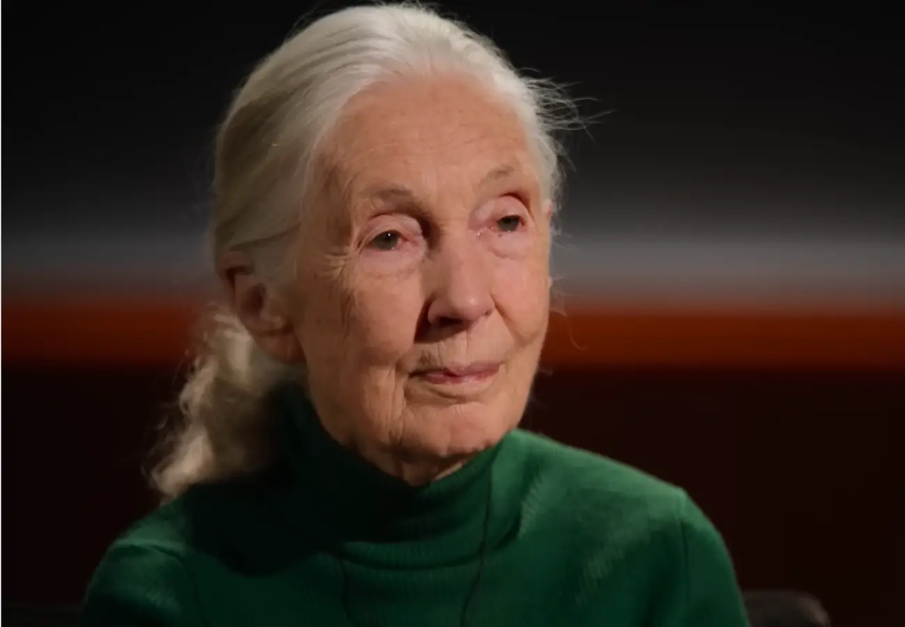 1º episódio de 'Famosas Última Palavras' apresenta Jane Goodall (Foto: Netflix)