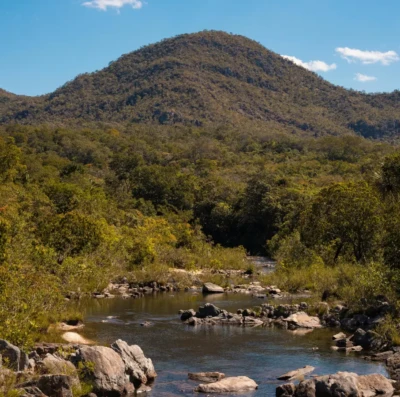 Cerrado de Goiás é selo 'carbono positivo' (Foto: Pexels)