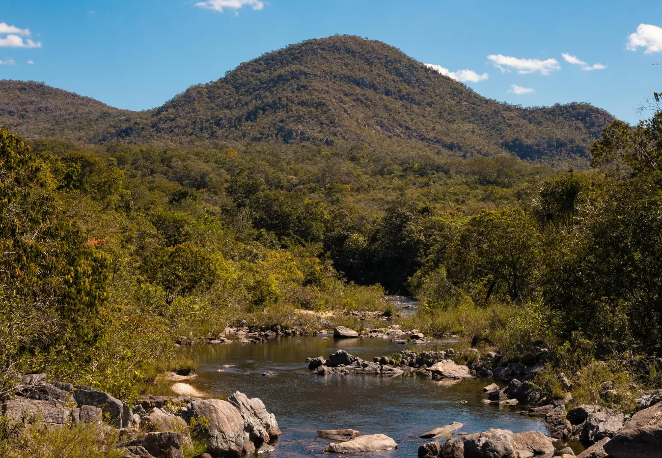 Cerrado de Goiás é selo 'carbono positivo' (Foto: Pexels)