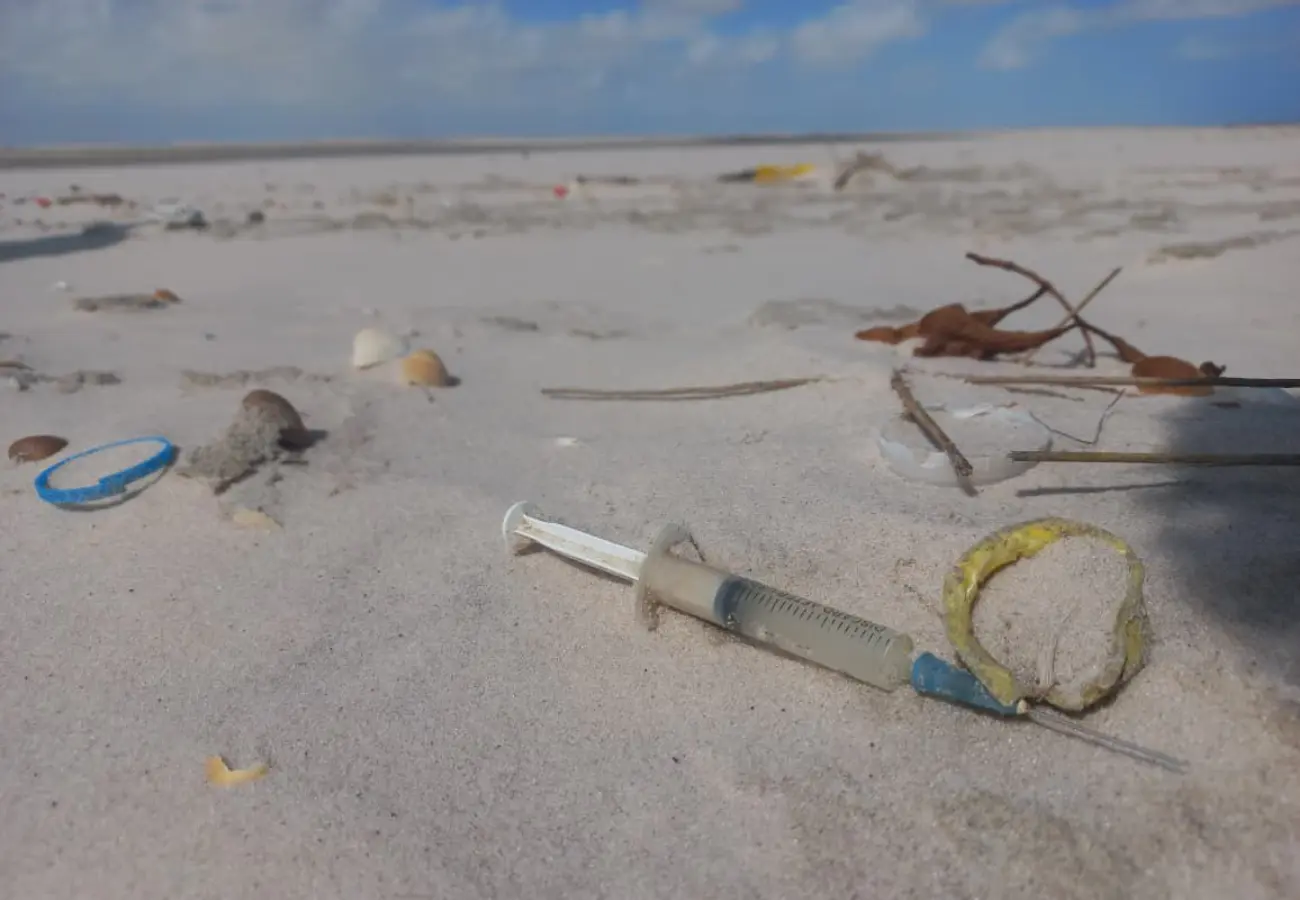 Pesquisa liderada por Goiás aponta preocupação com Microplástico nas praias do Brasil (Foto: Fapeg)