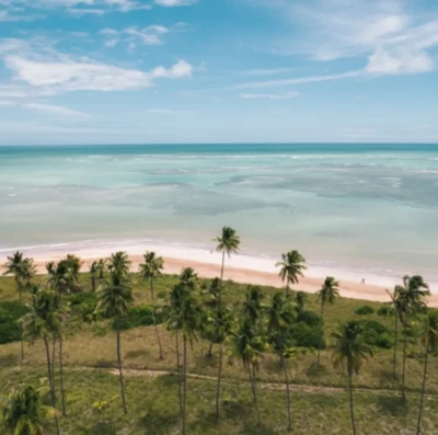 Rota Ecológica dos Milagres em Alagoas (Foto: Divulgação)