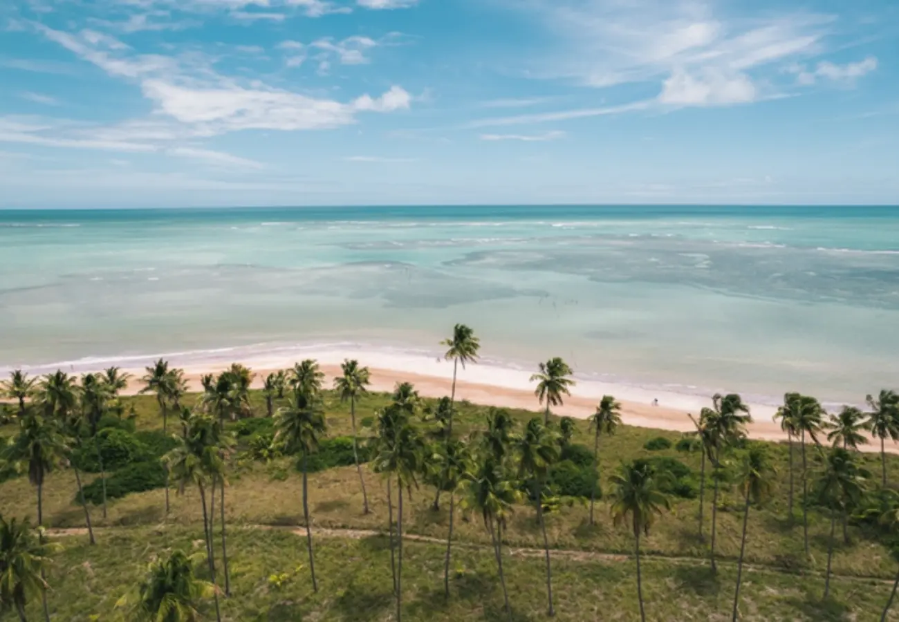 Rota Ecológica dos Milagres em Alagoas (Foto: Divulgação)