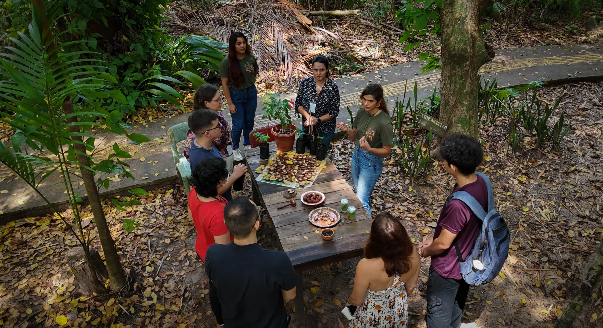Saiba o que fazer em Belém (PA) e aproveitar ao máximo a cidade durante a COP30