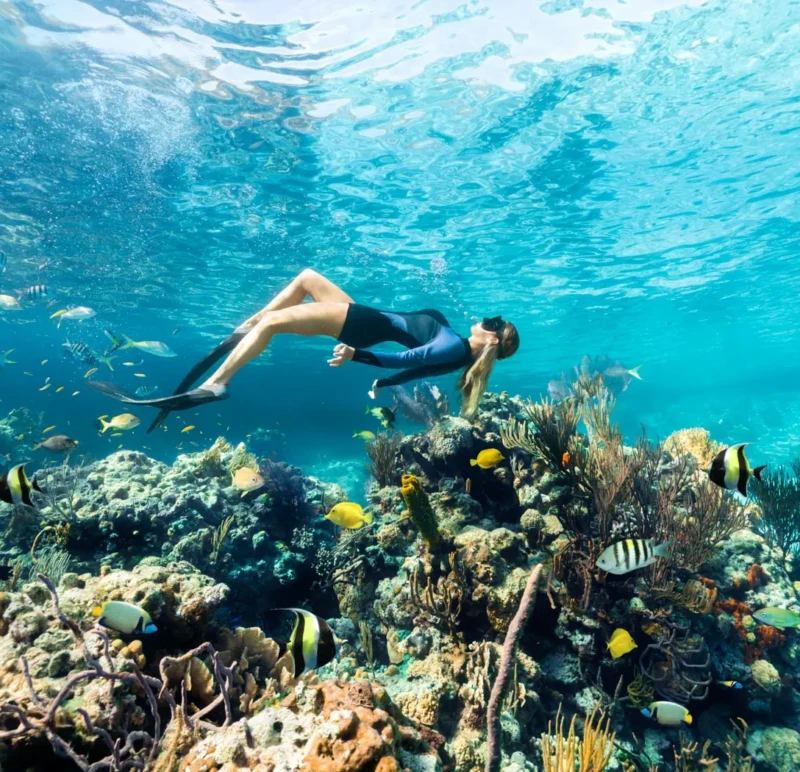 Bahamas (Foto BMOTIA)