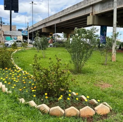 Goiânia prevê o plantio de 6 mil árvores até abril de 2026