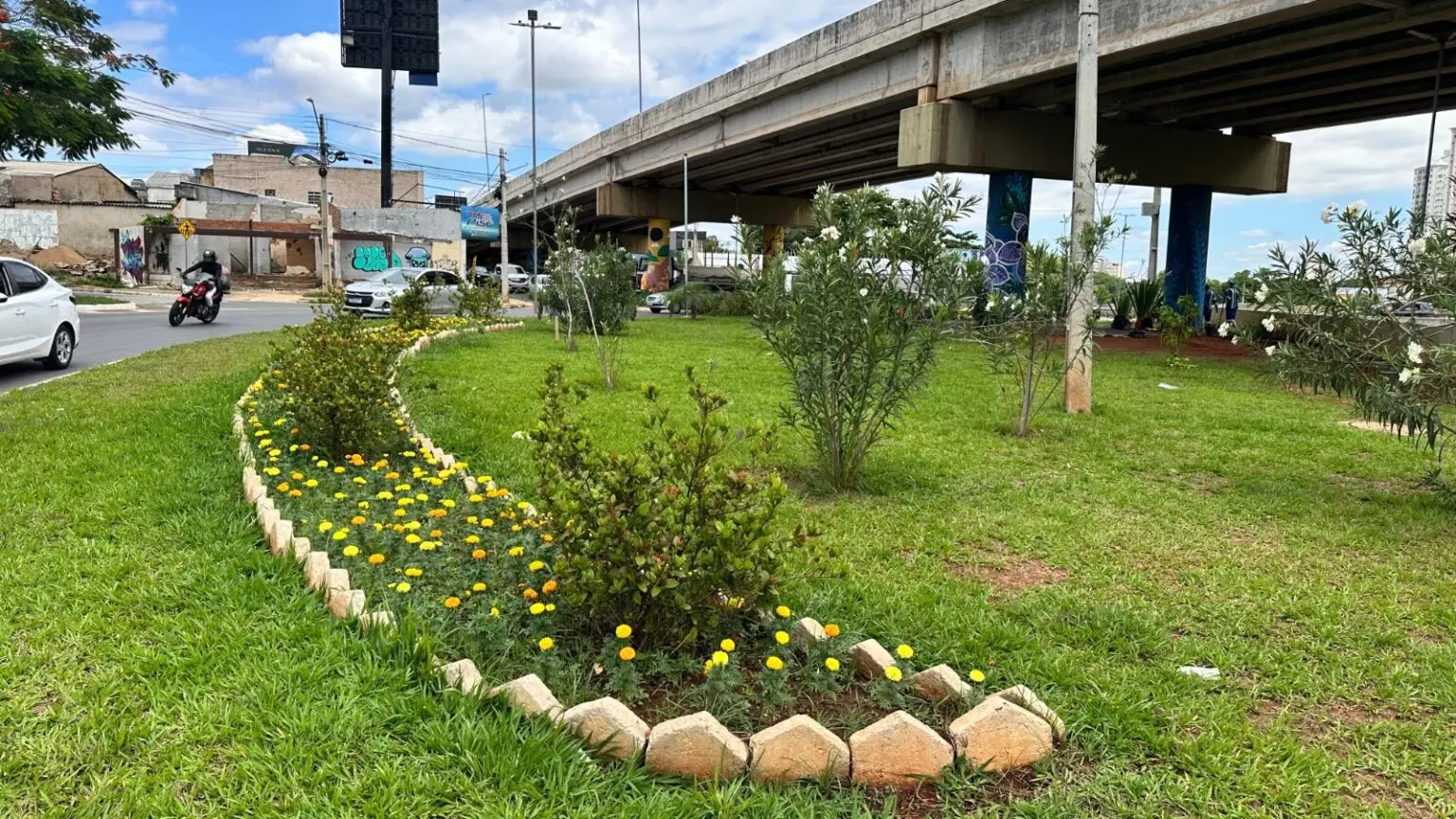 Goiânia prevê o plantio de 6 mil árvores até abril de 2026