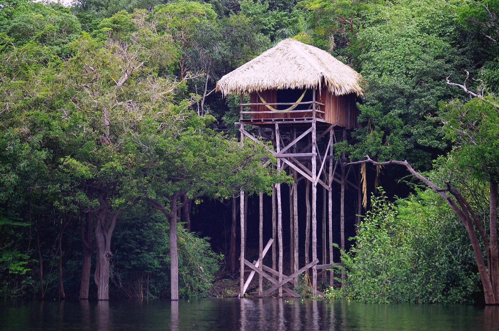 Hotel na Amazônia conquista selo internacional e opera com energia limpa em plena floresta