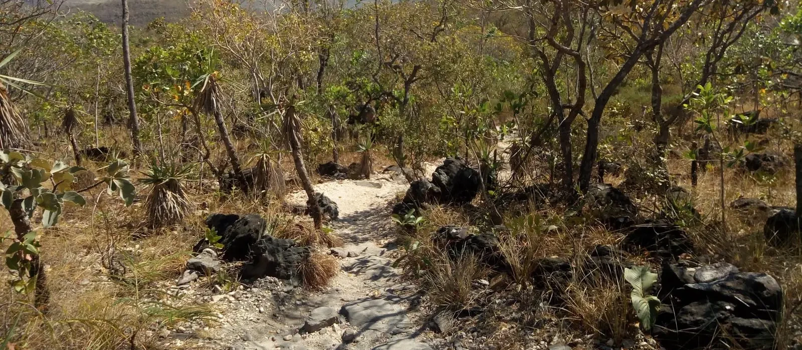 5 lugares imperdíveis em Goiás para quem ama trilhas e paisagens 