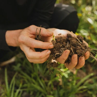 5 destinos brasileiros para despertar os sentidos e transformar sua próxima viagem