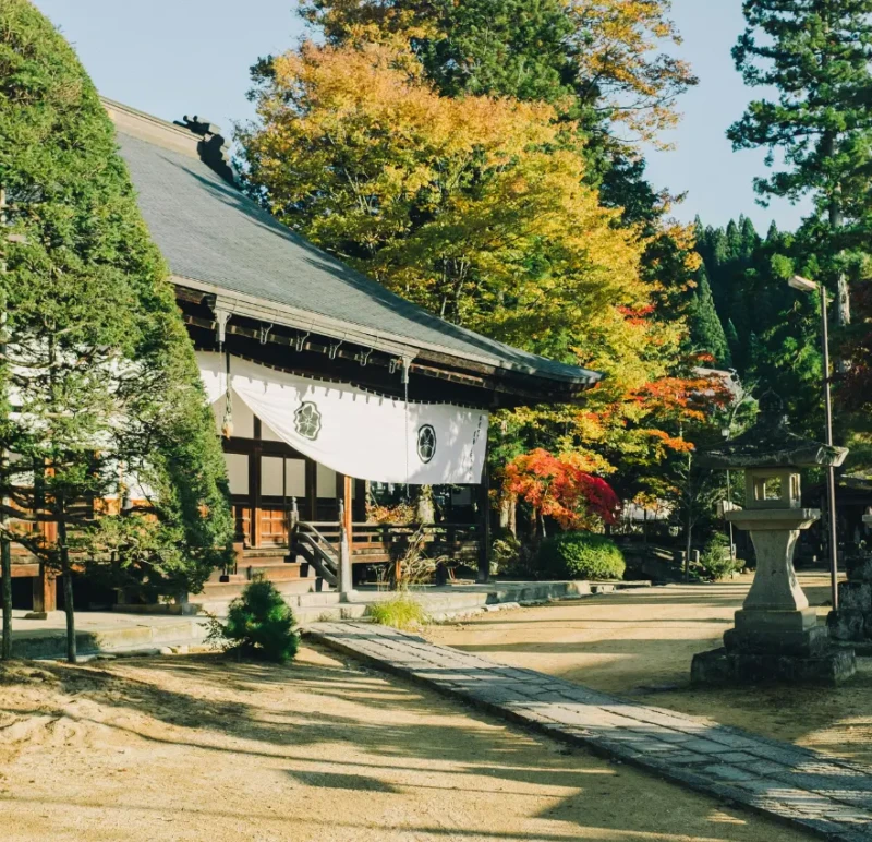 Traveller Review Awards 2026