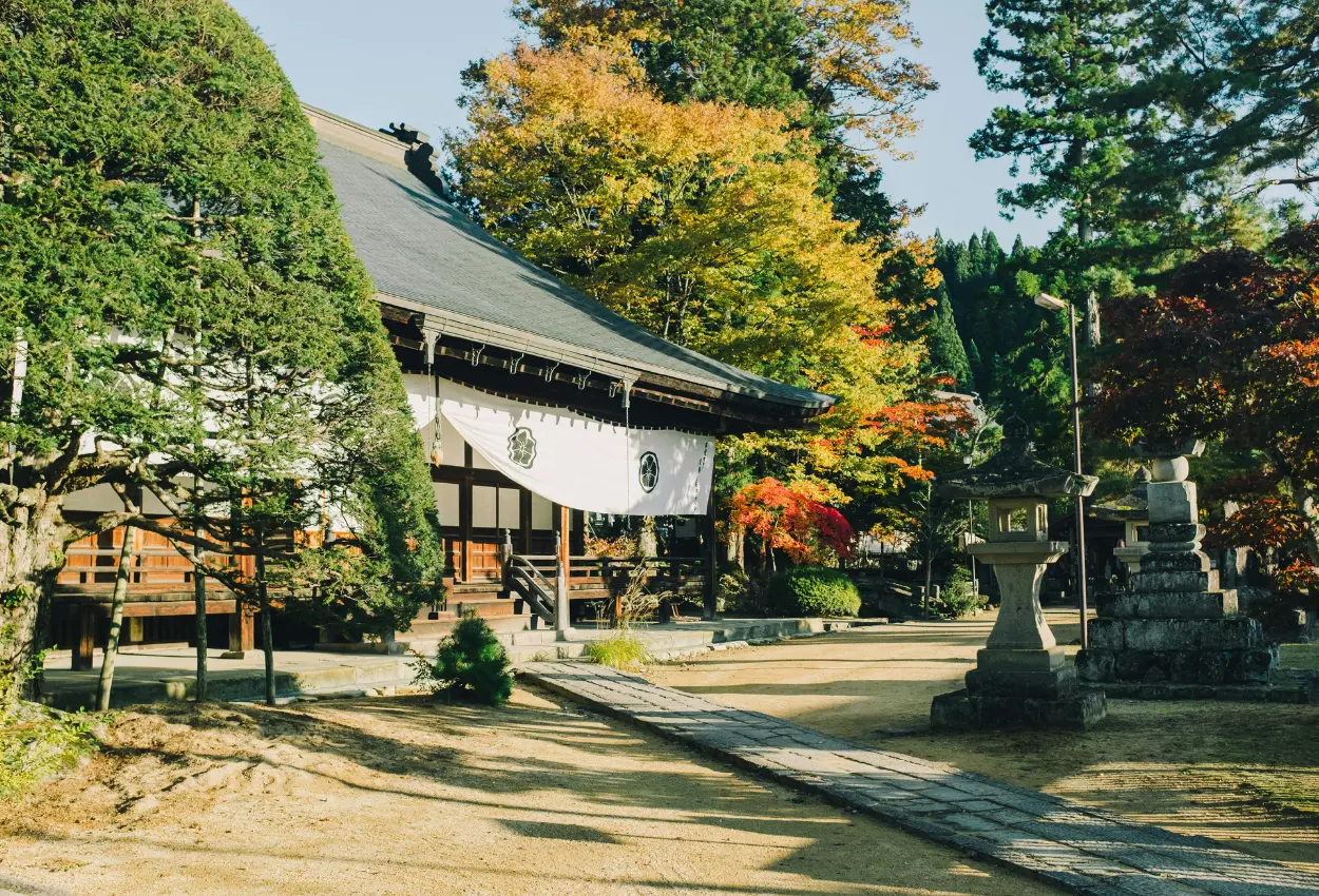 Traveller Review Awards 2026