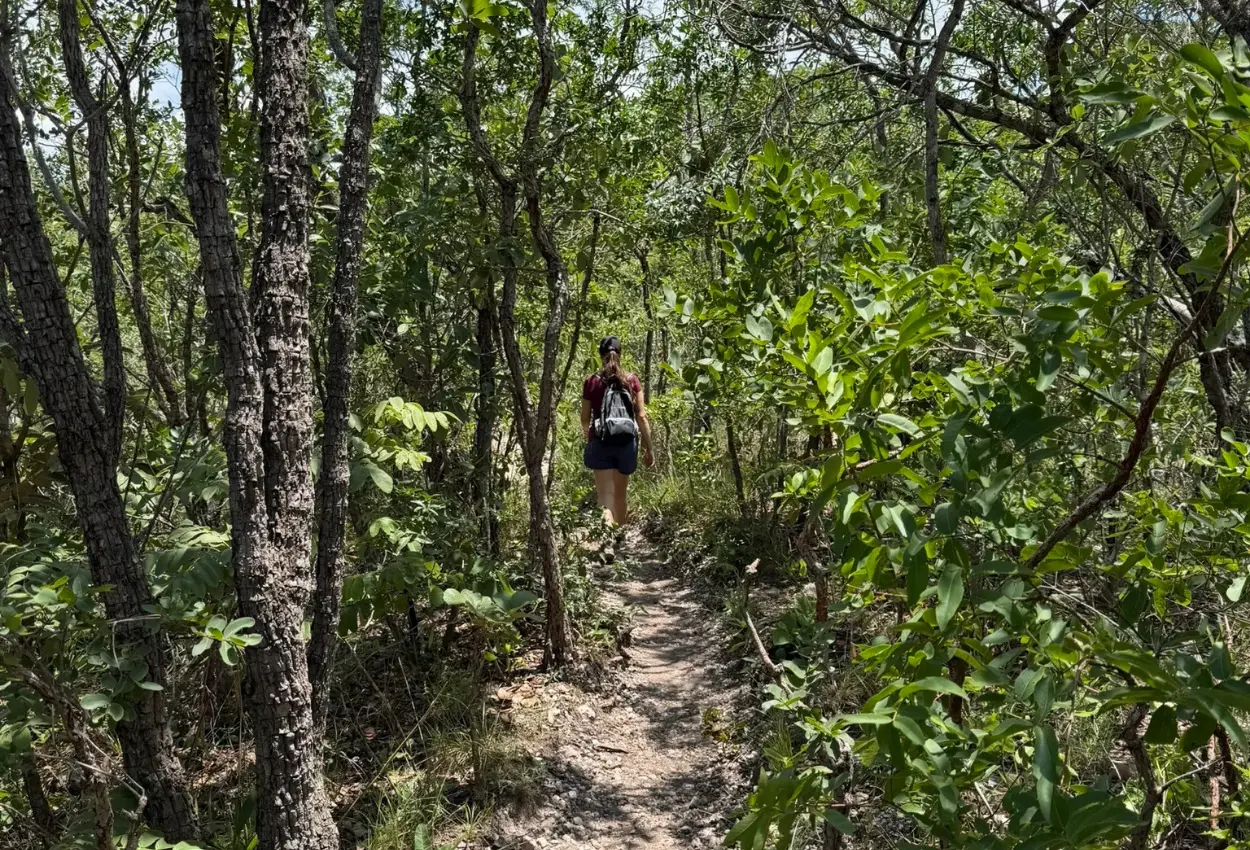 Melhores lugares em Goiás para fazer trilhas e explorar paisagens surpreendentes do Cerrado