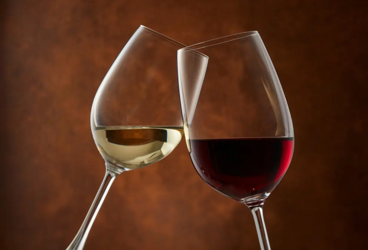 Vinho Pop Festival reúne 150 rótulos e sommelier internacional em edição especial no Goiânia Shopping