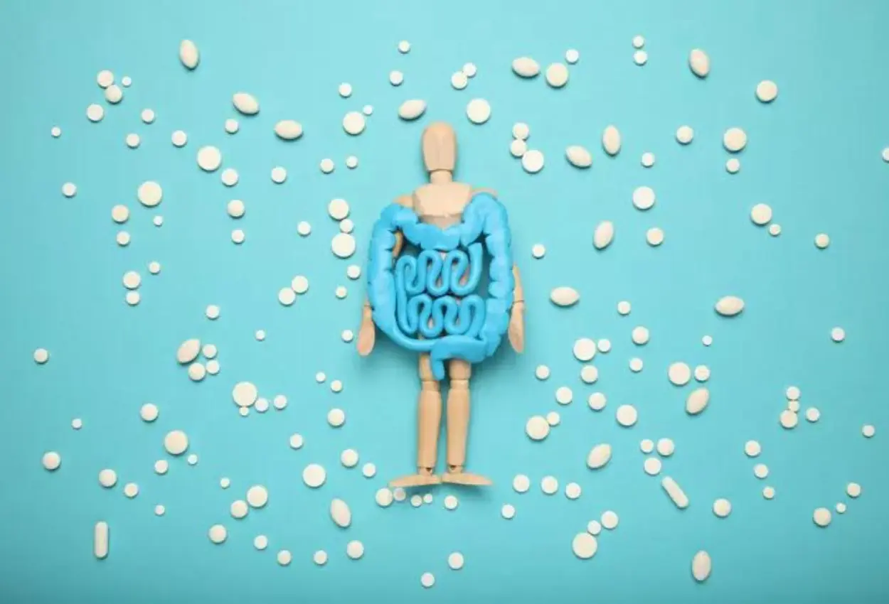 Antibióticos podem afetar o intestino por anos e mudar o equilíbrio do organismo