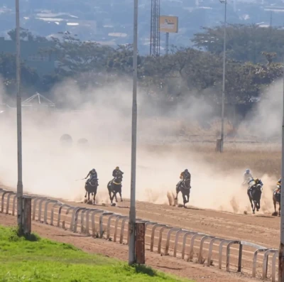 Hipódromo da Lagoinha em Goiânia retoma corridas de cavalos e apostas a partir de R$ 5 (3)