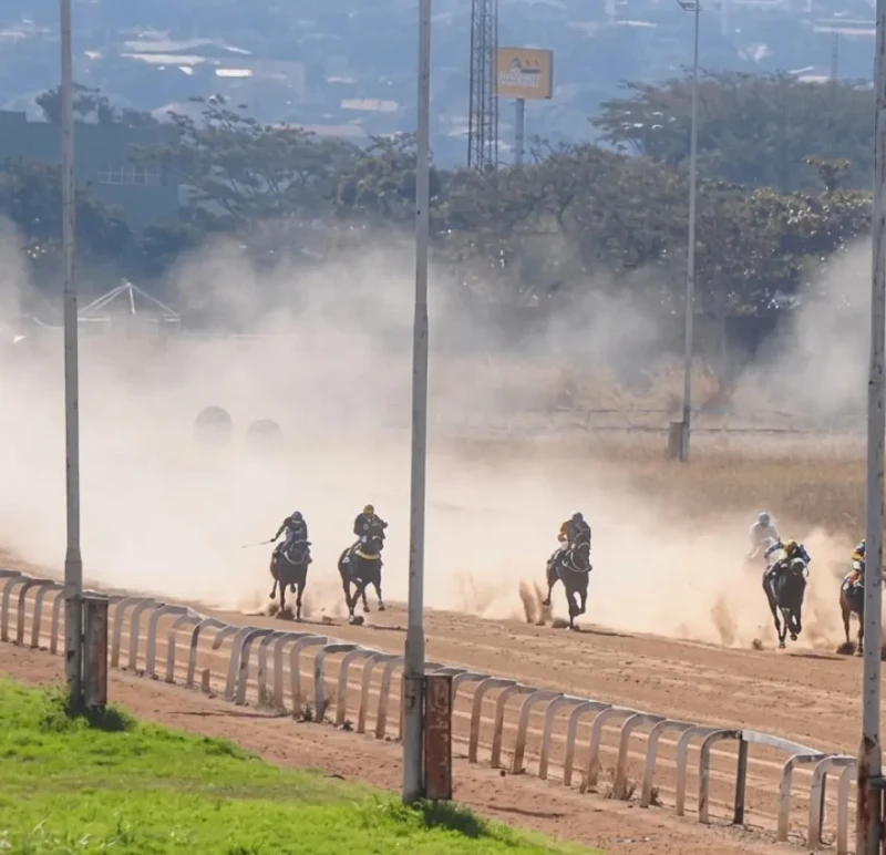 Hipódromo da Lagoinha em Goiânia retoma corridas de cavalos e apostas a partir de R$ 5 (3)