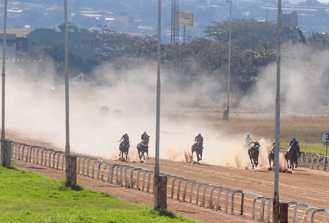 Hipódromo da Lagoinha em Goiânia retoma corridas de cavalos e apostas a partir de R$ 5 (3)