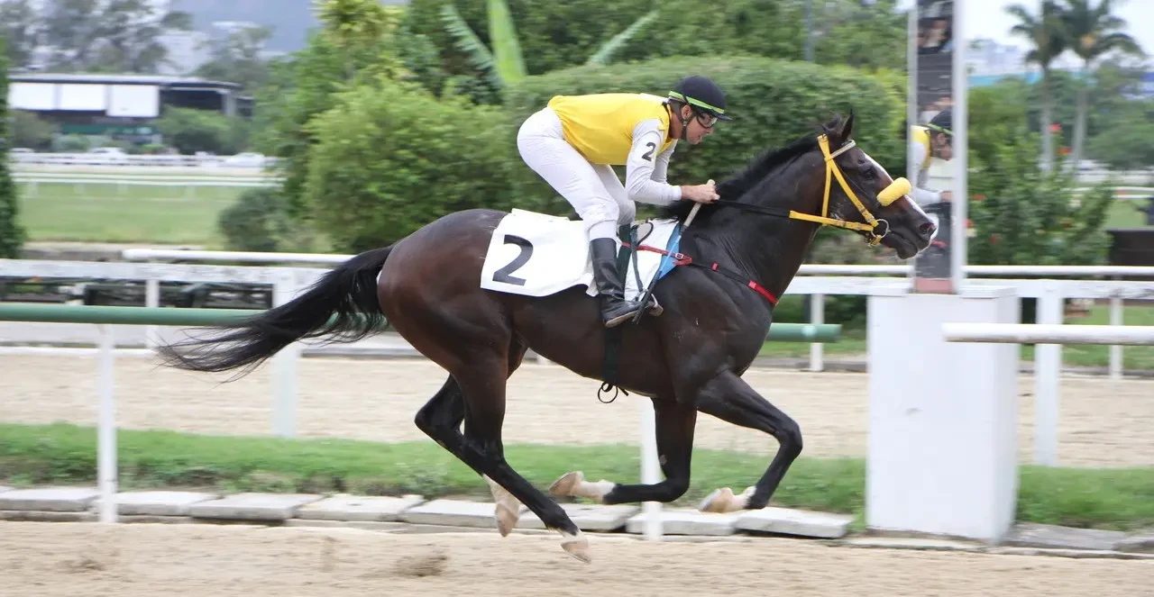 Hipódromo da Lagoinha em Goiânia retoma corridas de cavalos e apostas a partir de R$ 52