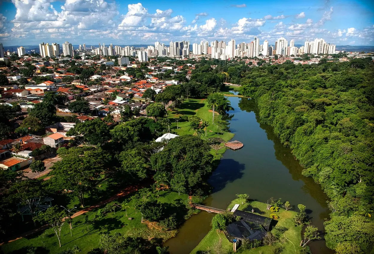 Goiânia ganha destaque mundial e se torna referência em arborização urbana no Brasil