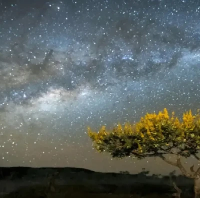 Goiás Cidade Estelar transforma noite em experiência única de observação do céu e ciência aberta ao público