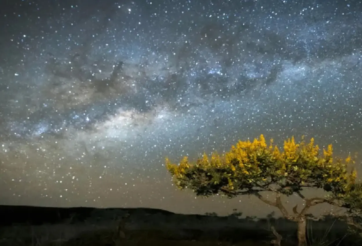 Goiás Cidade Estelar transforma noite em experiência única de observação do céu e ciência aberta ao público