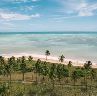 Rota Ecológica dos Milagres impulsiona turismo em Alagoas e atrai viajantes em busca de praias paradisíacas