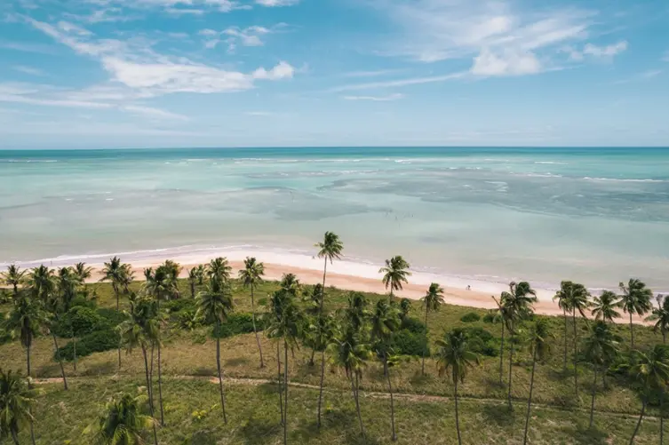 Rota Ecológica dos Milagres impulsiona turismo em Alagoas e atrai viajantes em busca de praias paradisíacas