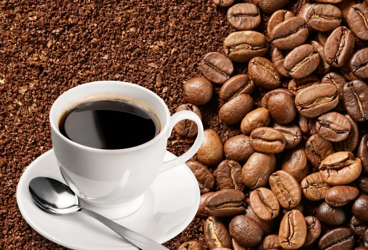 Café Fest 2026 é confirmado em Goiânia com foco em lifestyle