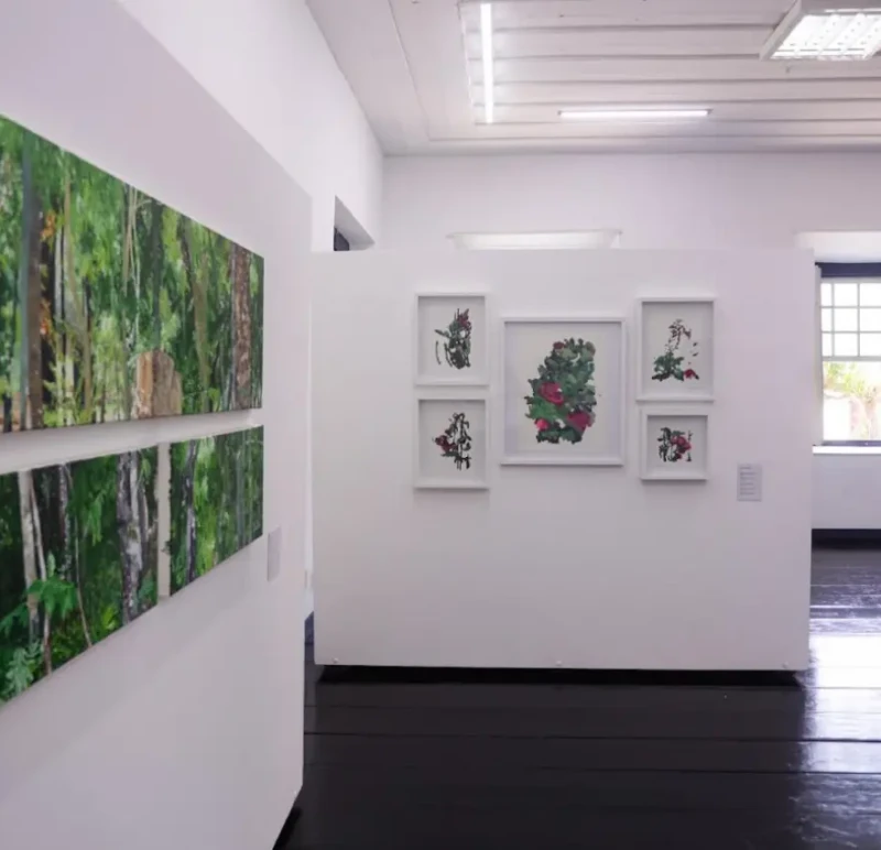 Fica 2026 abre inscrições gratuitas para artistas e amplia seleção com edital de artes visuais em Goiás