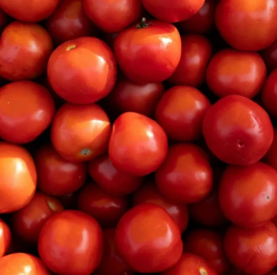 Festa do Tomate em Goianápolis: tradição, shows e cultura movimentam evento