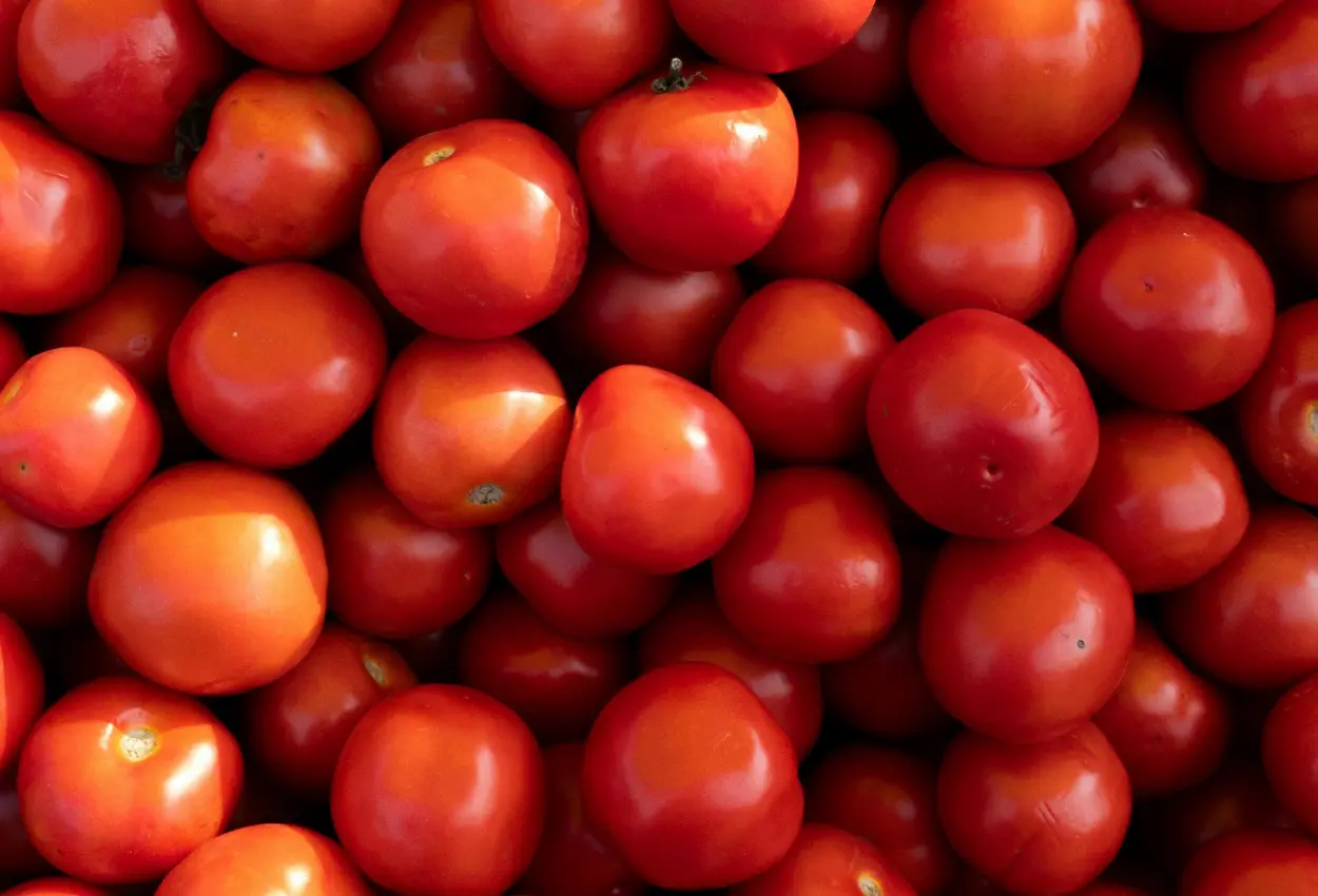 Festa do Tomate em Goianápolis: tradição, shows e cultura movimentam evento