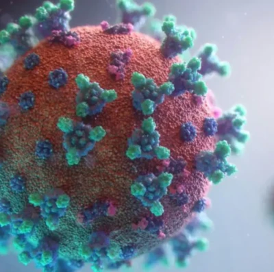 Nova subvariante ‘Cicada’ da Covid-19 surge com 75 mutações; veja o que já se sabe